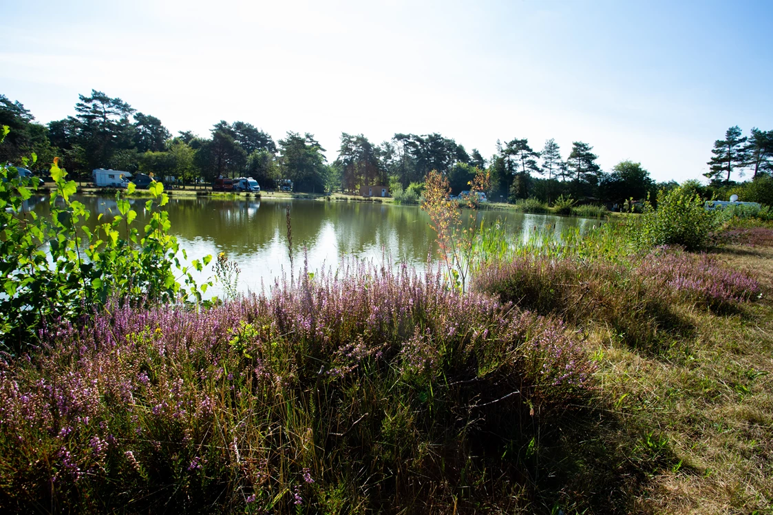 Wohnmobilstellplatz: Naturcamping Lüneburger Heide mit Stellplätzen direkt am See - Naturcamping Lüneburger Heide