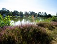 Wohnmobilstellplatz: Naturcamping Lüneburger Heide mit Stellplätzen direkt am See - Naturcamping Lüneburger Heide