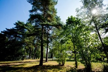 Wohnmobilstellplatz: Natur pur auf dem Naturcamping Lüneburger Heide - Naturcamping Lüneburger Heide