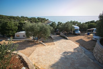 Wohnmobilstellplatz: Cascade baute Stellplätze mit viel Schatten von 100 Jahre alten Olivenbäumen mit Meerblick. - Kamp Kanić