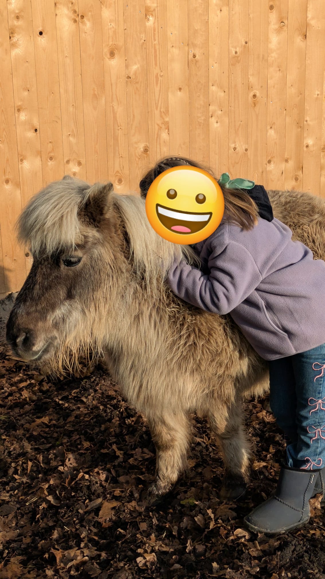 Wohnmobilstellplatz: Kuschelpony - Heiger-Hof, Wittenrieder Straße 22, 26188 Edewecht
