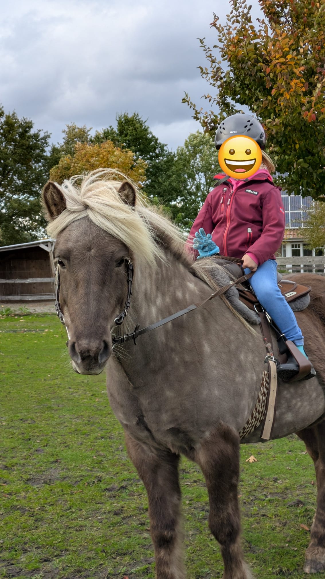 Wohnmobilstellplatz: Pony Reiten bei Hof Krause - Heiger-Hof, Wittenrieder Straße 22, 26188 Edewecht