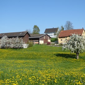 Wohnmobilstellplatz: Eggerhof im Frühling - Eggerhof