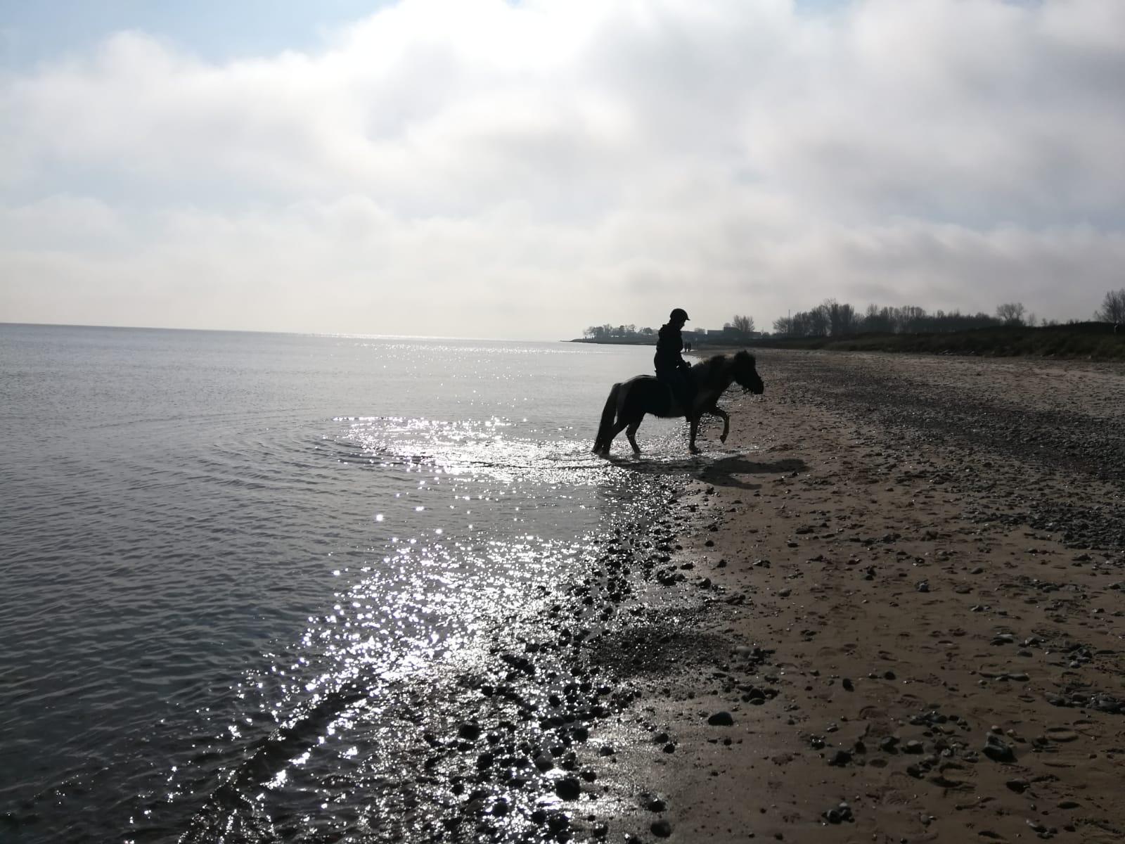 Wohnmobilstellplatz: Ostseebauernhof Schönhagen