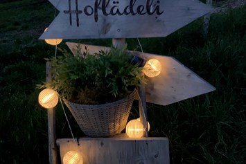Wohnmobilstellplatz: Hoflädeli bei Night - HaselHof
