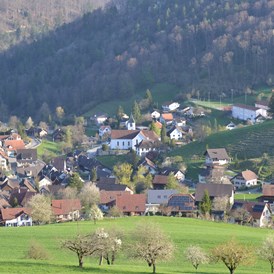 Wohnmobilstellplatz: Blick ins Dorf - HaselHof