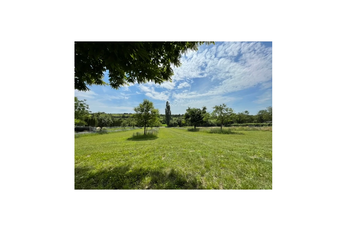 Wohnmobilstellplatz: Blick aus dem Wohnmobil - Stellplatz Weingut Grittmann