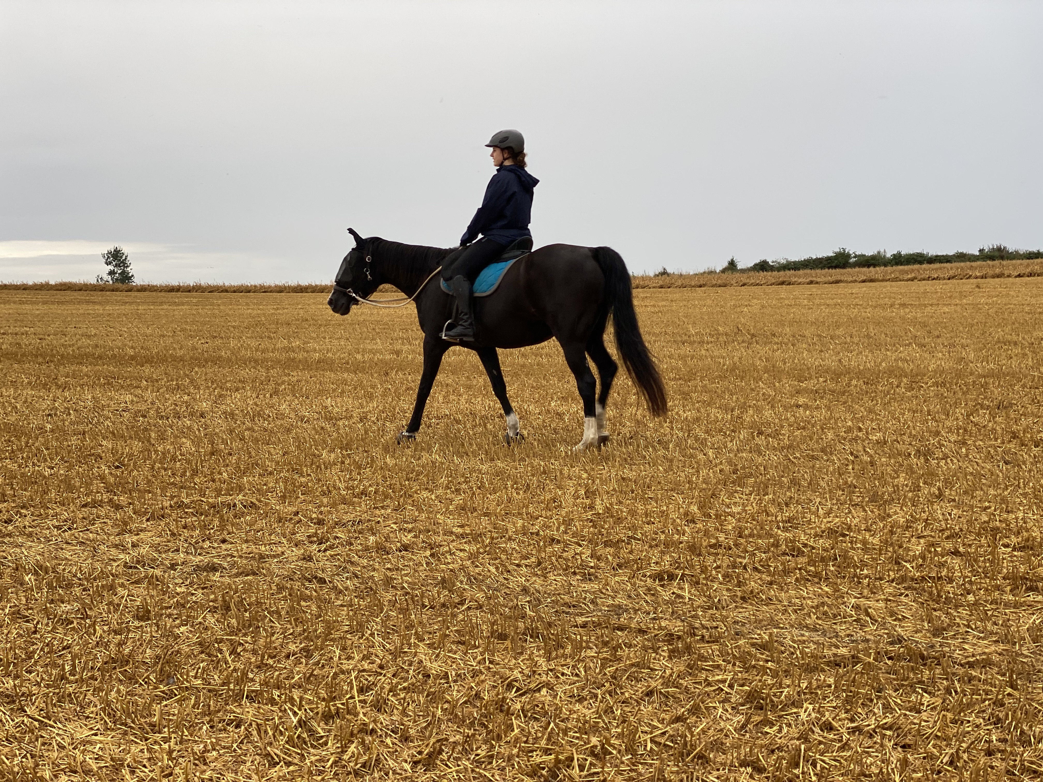Reisemobilstellplatz: Hof Schlossblick