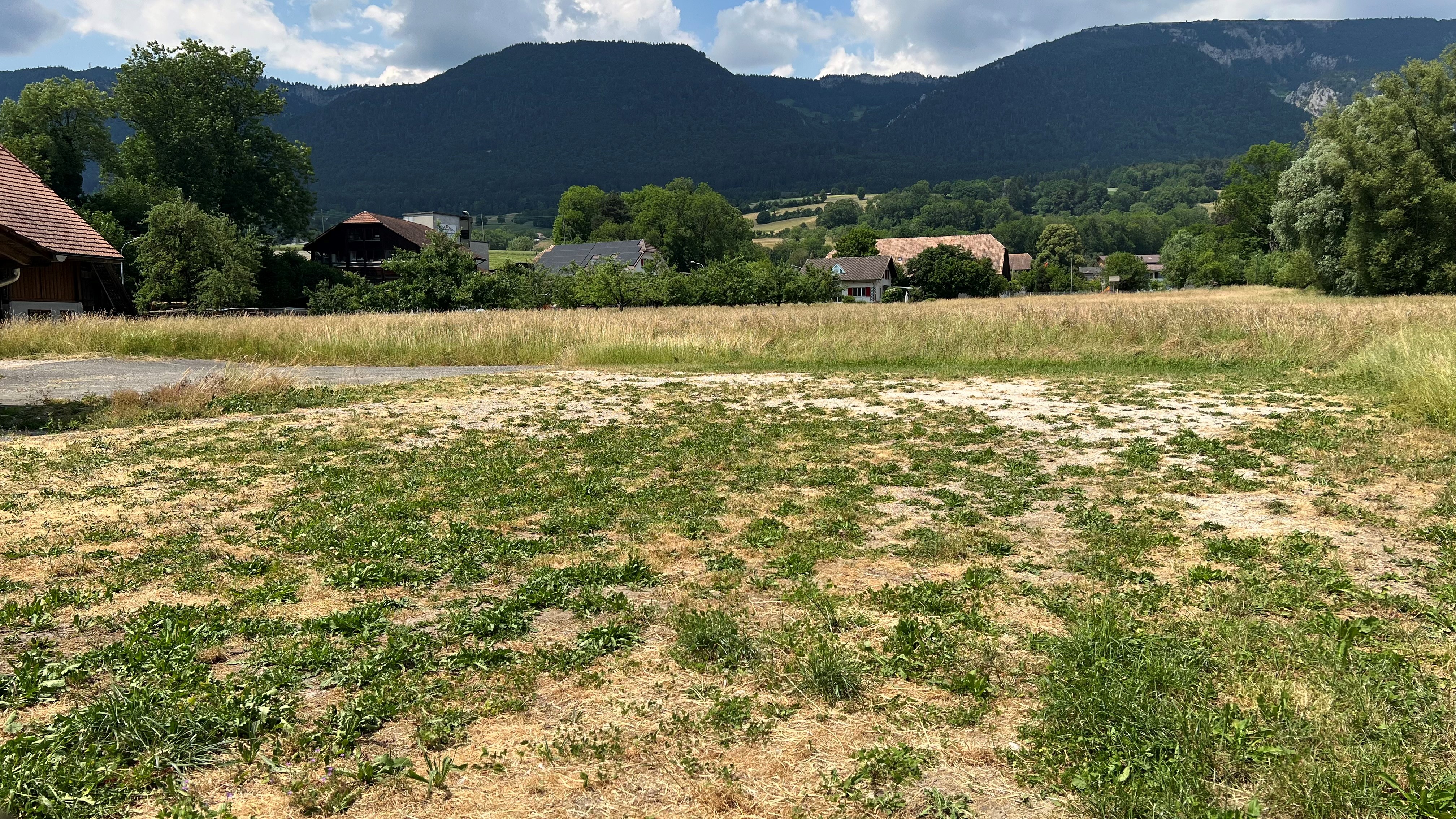 Wohnmobilstellplatz: Stellplatz Haag