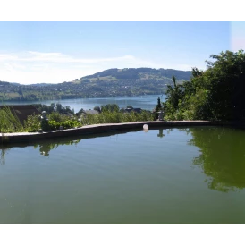 Wohnmobilstellplatz: Schwimmteich und Blick auf Hallwilersee
 - Hallwilerseeausblick