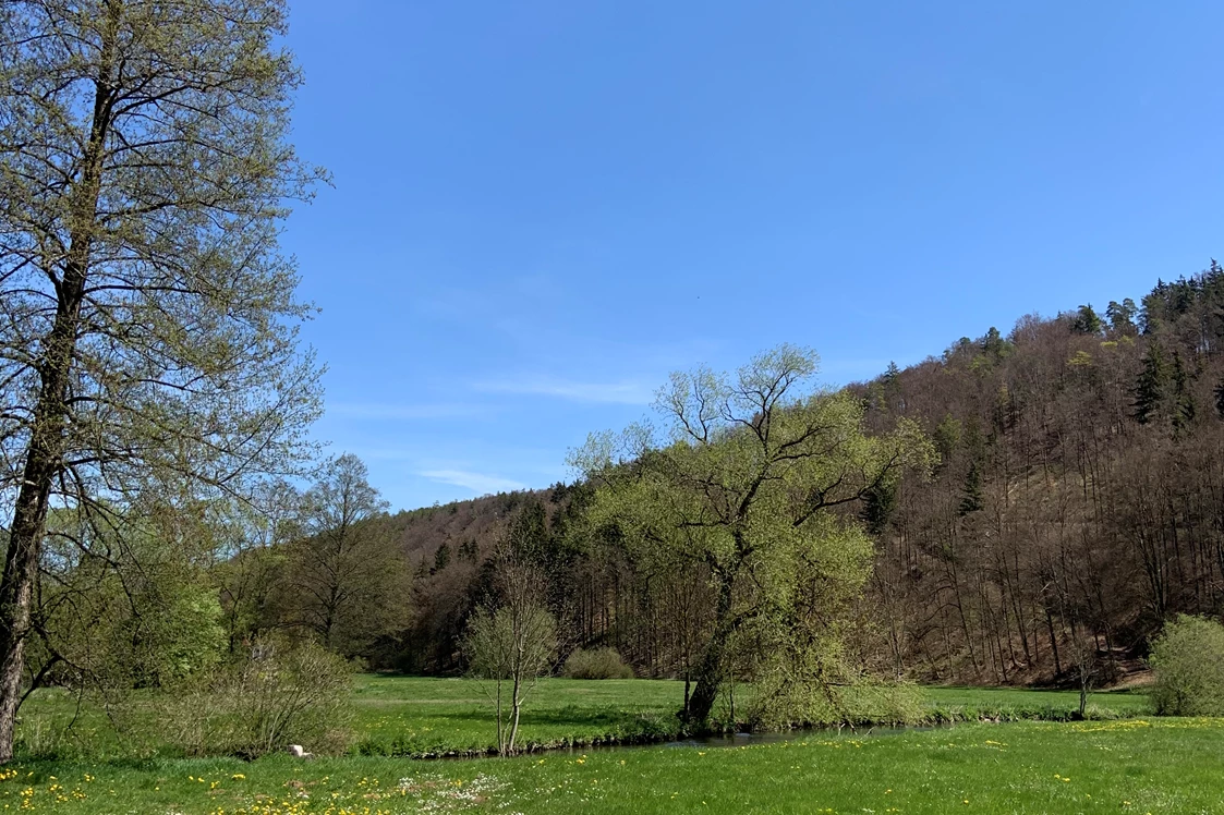 Wohnmobilstellplatz: Mit eigenem Fischwasser in der Anlauter
Mitten in der Natur  - Altdorf im Anlautertal 