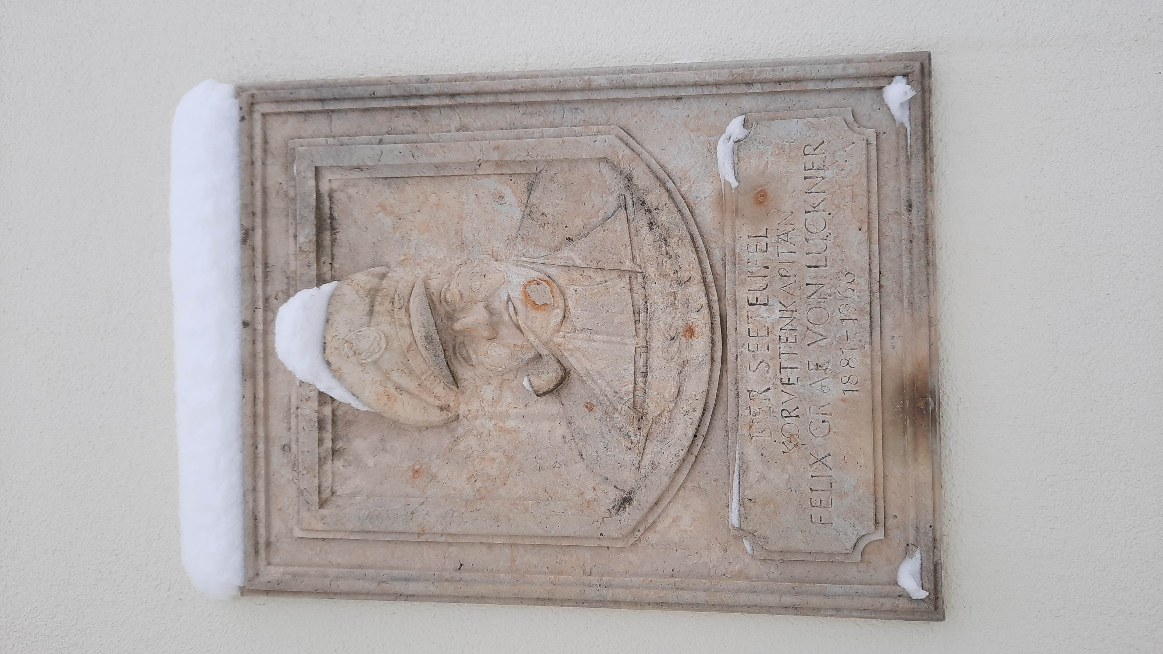 Wohnmobilstellplatz: Stellplatz am Lucknerpark in Dresden mit Schaf und Huhn