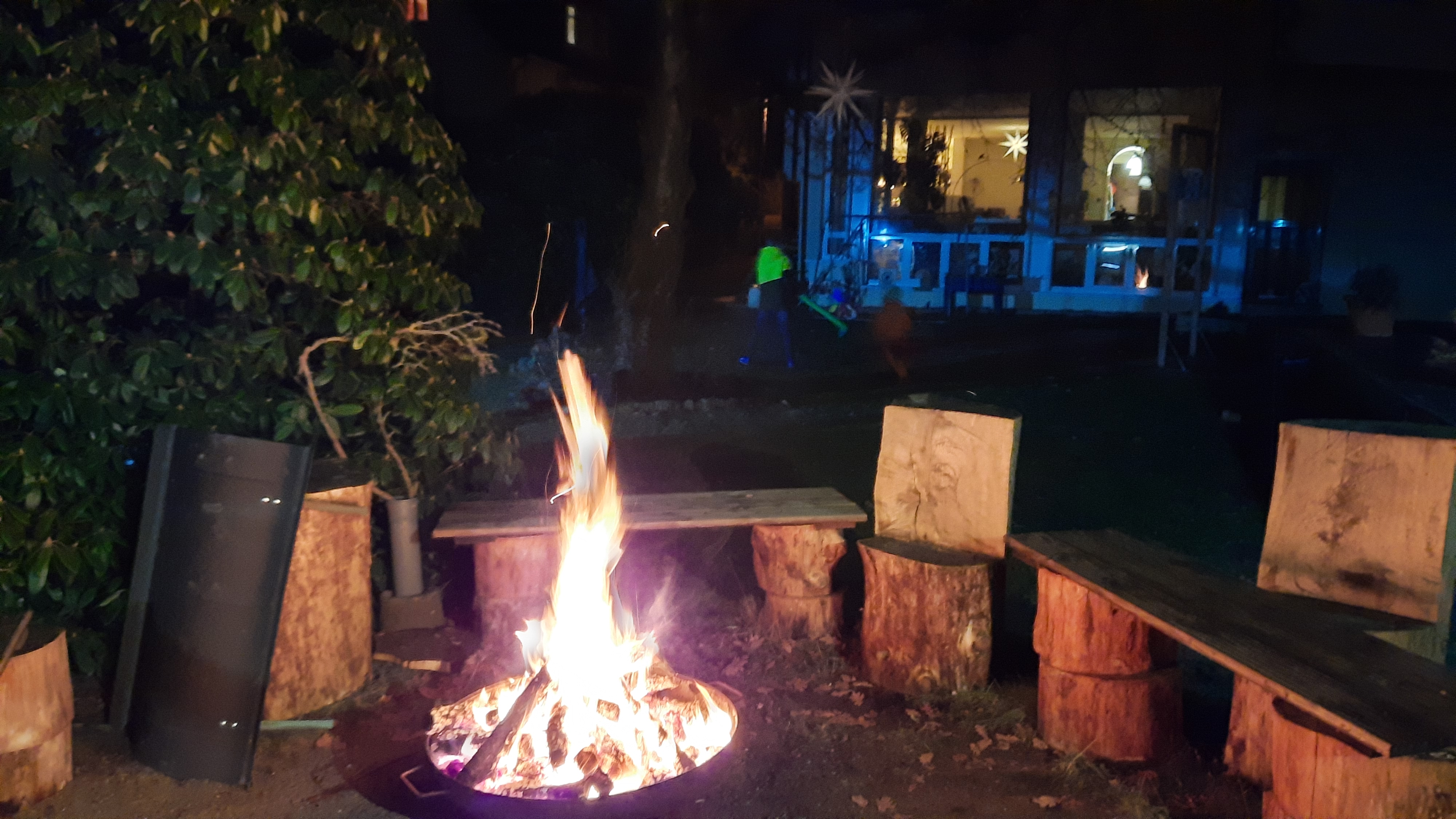 Wohnmobilstellplatz: Stellplatz am Lucknerpark in Dresden mit Schaf und Huhn