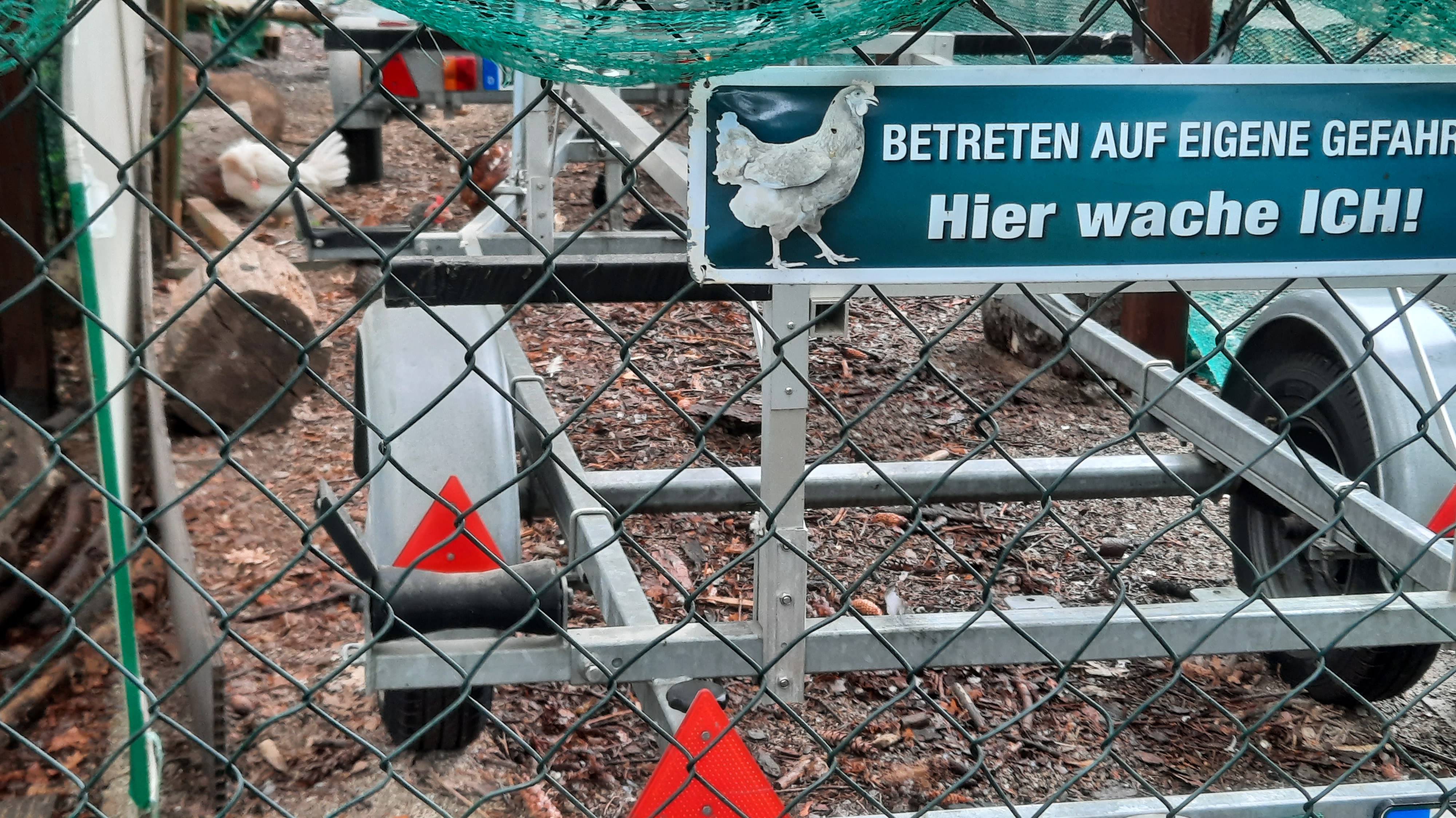 Wohnmobilstellplatz: Stellplatz am Lucknerpark in Dresden mit Schaf und Huhn