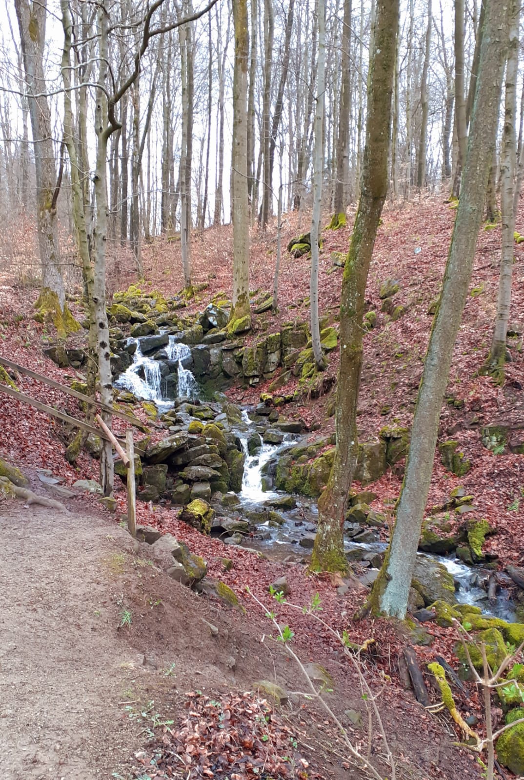 Wohnmobilstellplatz: In den Riedwiesen