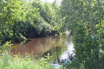 Wohnmobilstellplatz: Idyllische Lage auf einer Insel - Wohnmobilstellplatz auf der Schöpfwerksinsel