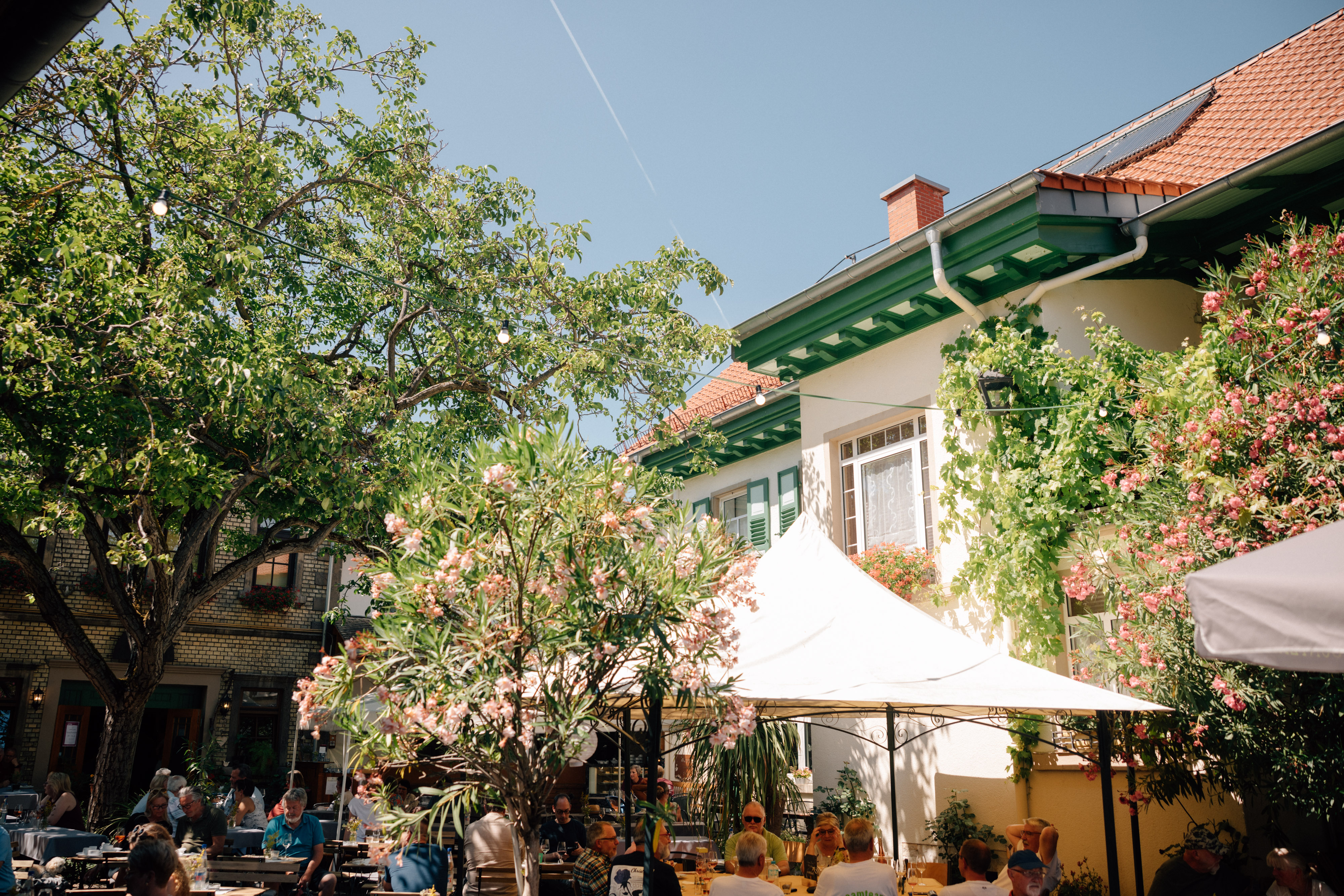 Area sosta per camper - Stadecken-Elsheim - Weingut Burghof Oswald