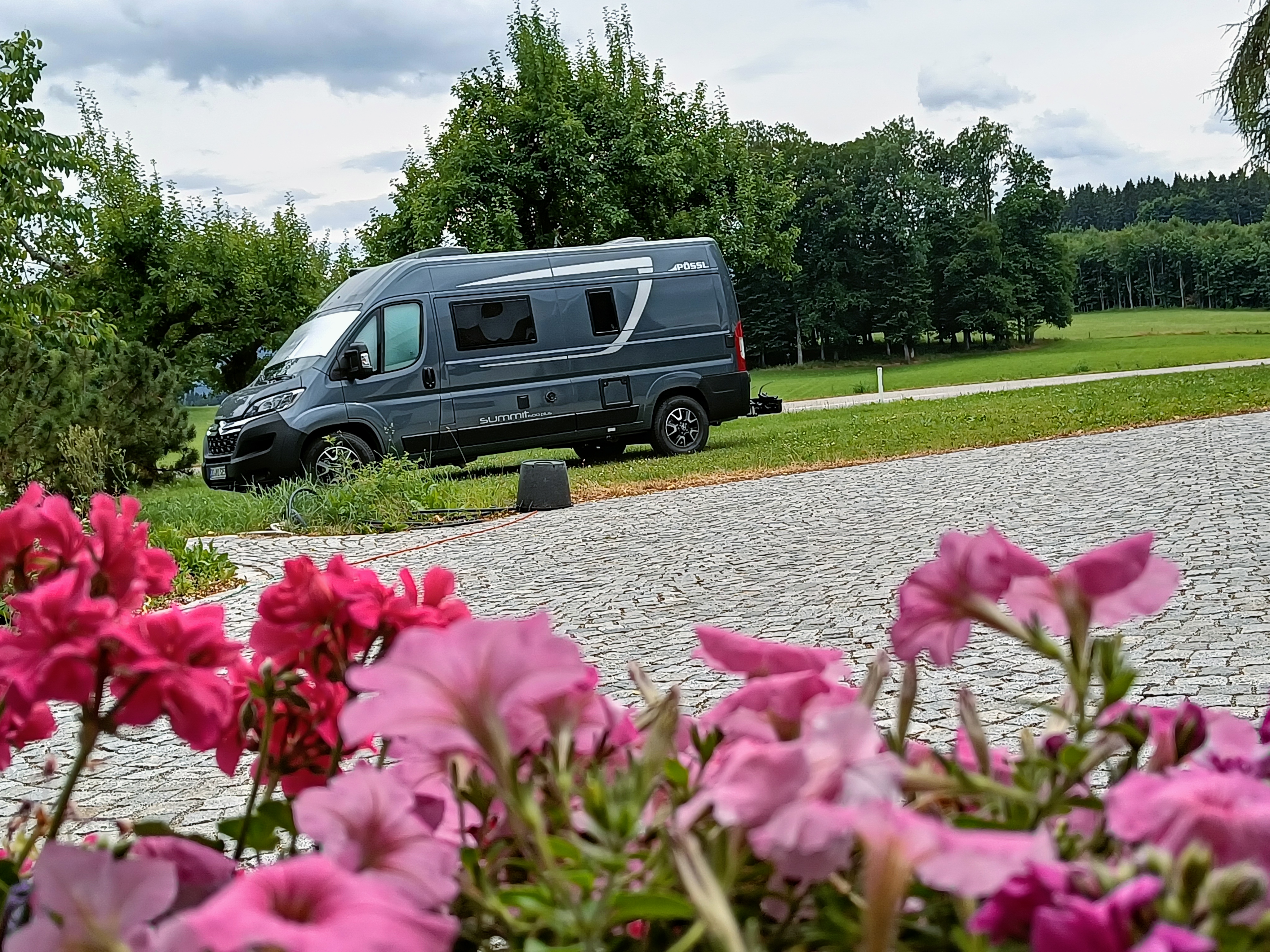 área camper - WLAN: teilweise vorhanden - Beim Holzmann