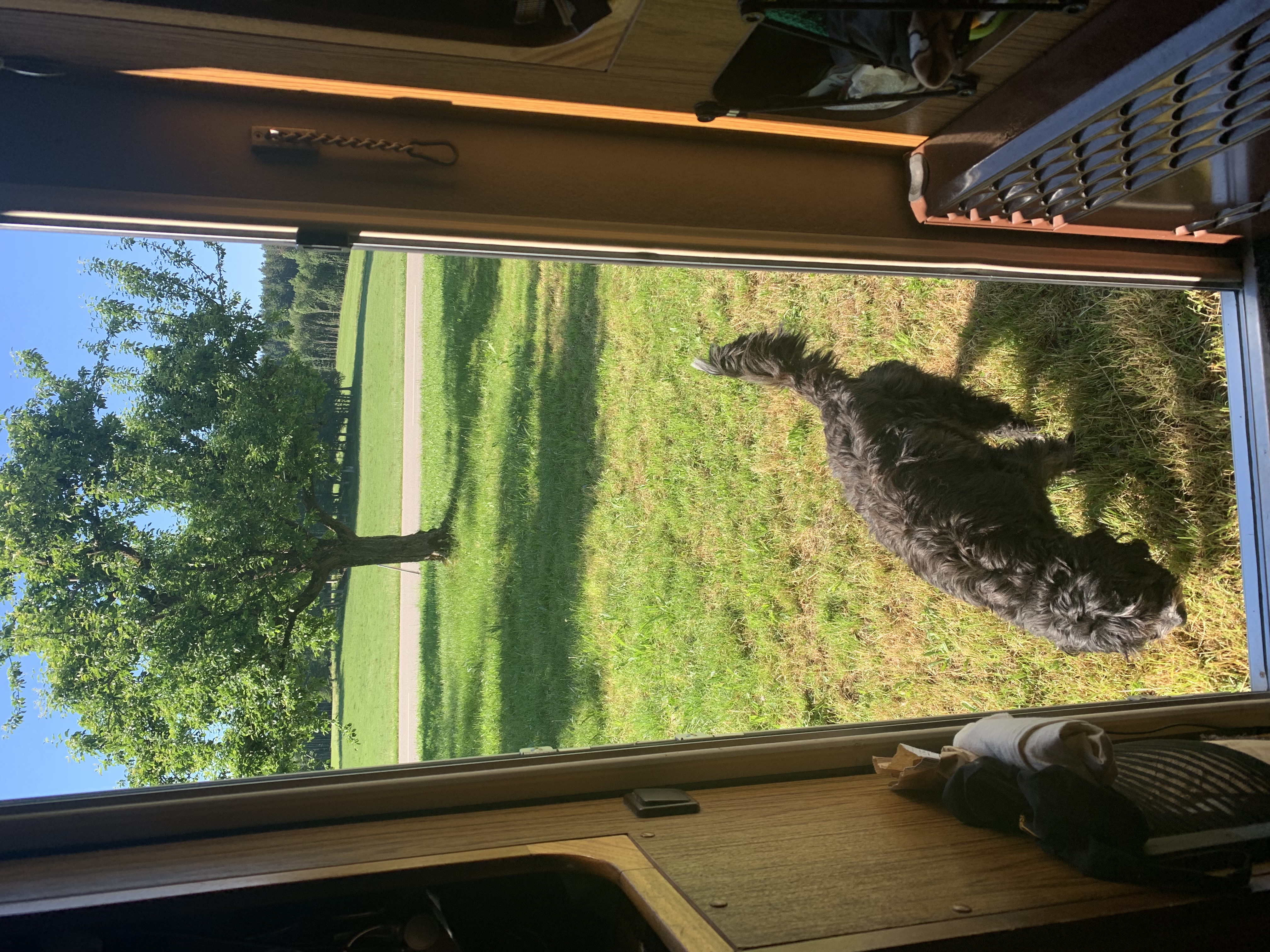 Wohnmobilstellplatz: Blick aus dem Womo - Beim Holzmann