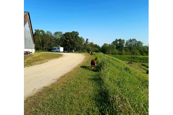 Wohnmobilstellplatz: bestens befestigt, eben - Camping-Stellplatz Hofmühle