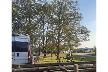 Wohnmobilstellplatz: auch Schatten - Camping-Stellplatz Hofmühle