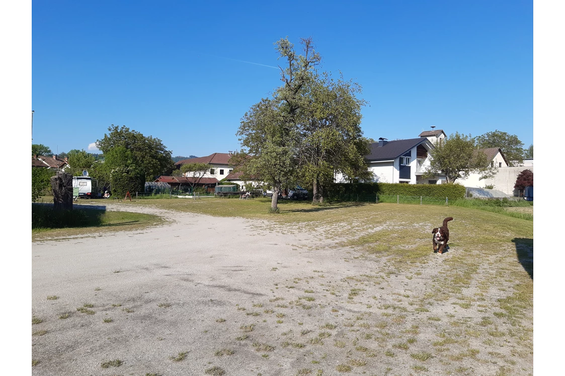 Wohnmobilstellplatz: sehr großräumig - Camping-Stellplatz Hofmühle