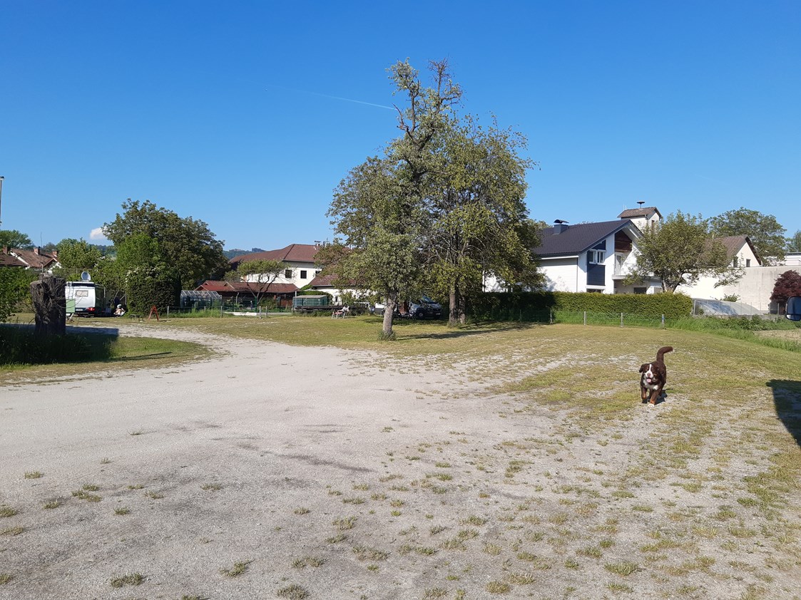 Wohnmobilstellplatz: sehr großräumig - Camping-Stellplatz Hofmühle