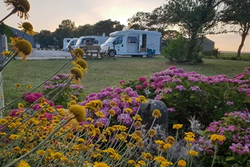 Wohnmobilstellplatz: Stellplatz im Sommer - De Tulpentuin, Tulpengarten