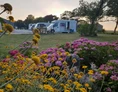 Wohnmobilstellplatz: Stellplatz im Sommer - De Tulpentuin, Tulpengarten