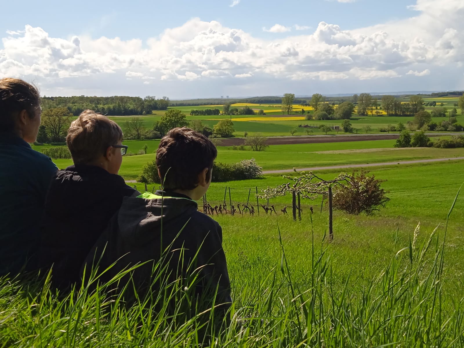 Reisemobilstellplatz - Art des Stellplatz: bei Weingut - Franken - Naturerlebnis zwischen Wald, Wein und Wiesen