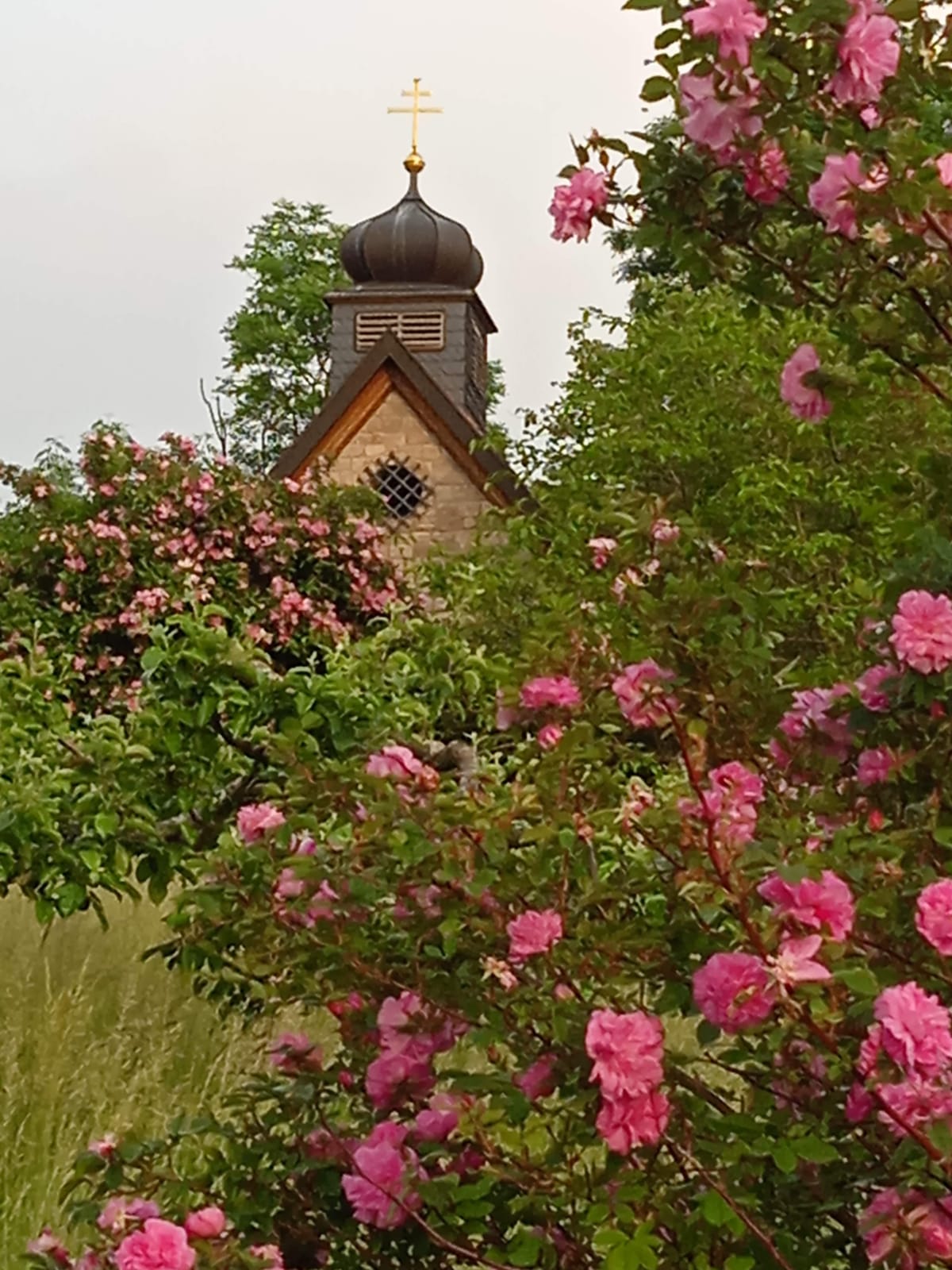 Reisemobilstellplatz - Art des Stellplatz: bei Weingut - Franken - Naturerlebnis zwischen Wald, Wein und Wiesen