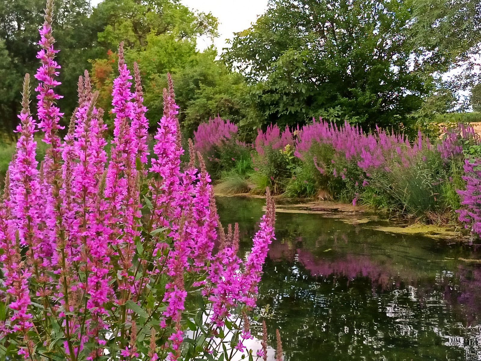 Reisemobilstellplatz - Art des Stellplatz: bei Weingut - Franken - Naturerlebnis zwischen Wald, Wein und Wiesen