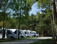 Wohnmobilstellplatz: Campingplatz Wohnmobil-Oase Insel Rügen