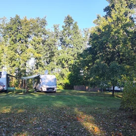 Wohnmobilstellplatz: Unser Campingplatz am Wald - Camping- und Zeltplatz Kleine Freiheit