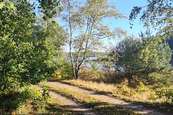 Wohnmobilstellplatz: Blick zum See, von allen Campingplätzen maximal 2 Minuten - Camping- und Zeltplatz Kleine Freiheit