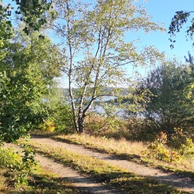 Wohnmobilstellplatz: Blick zum See, von allen Campingplätzen maximal 2 Minuten - Camping- und Zeltplatz Kleine Freiheit