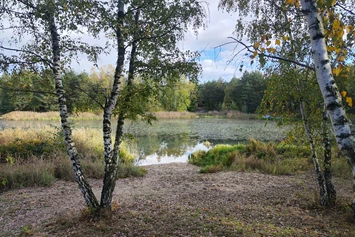 Wohnmobilstellplatz: Blick auf die Kimbucht - Camping- und Zeltplatz Kleine Freiheit