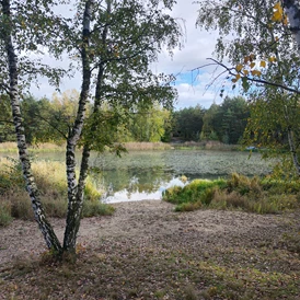 Wohnmobilstellplatz: Blick auf die Kimbucht - Camping- und Zeltplatz Kleine Freiheit