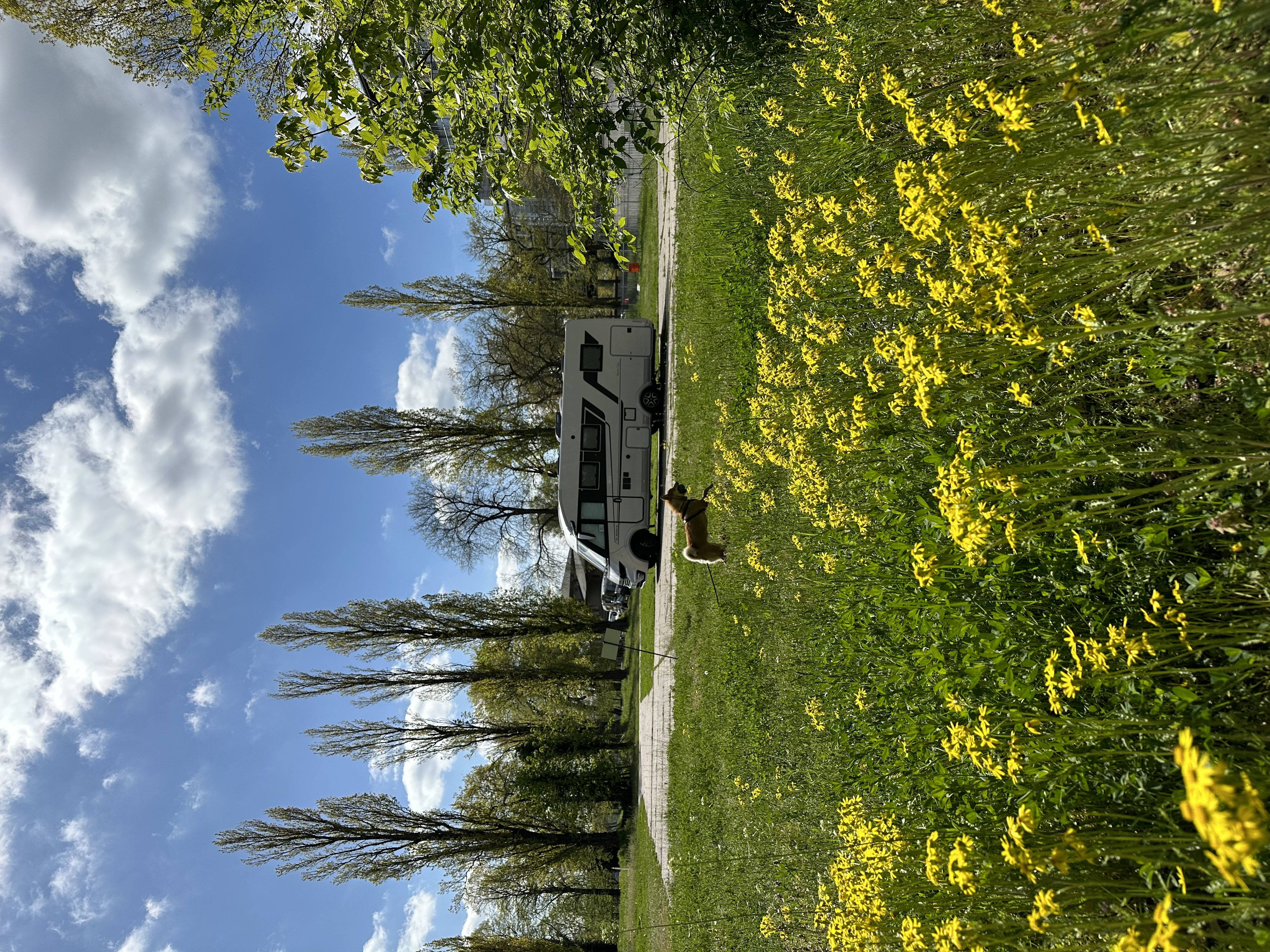 Reisemobilstellplatz