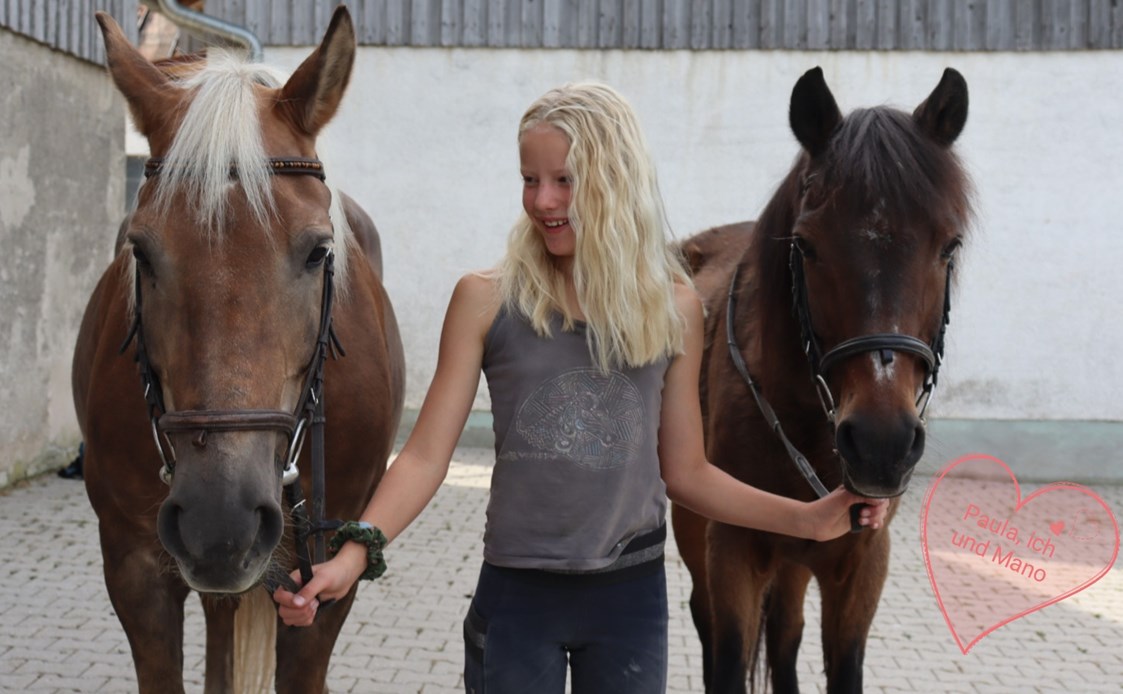 Wohnmobilstellplatz: Auf diesen Pferden kann man nach Absprache reiten.  - Erlebnisbauernhof Reiter
