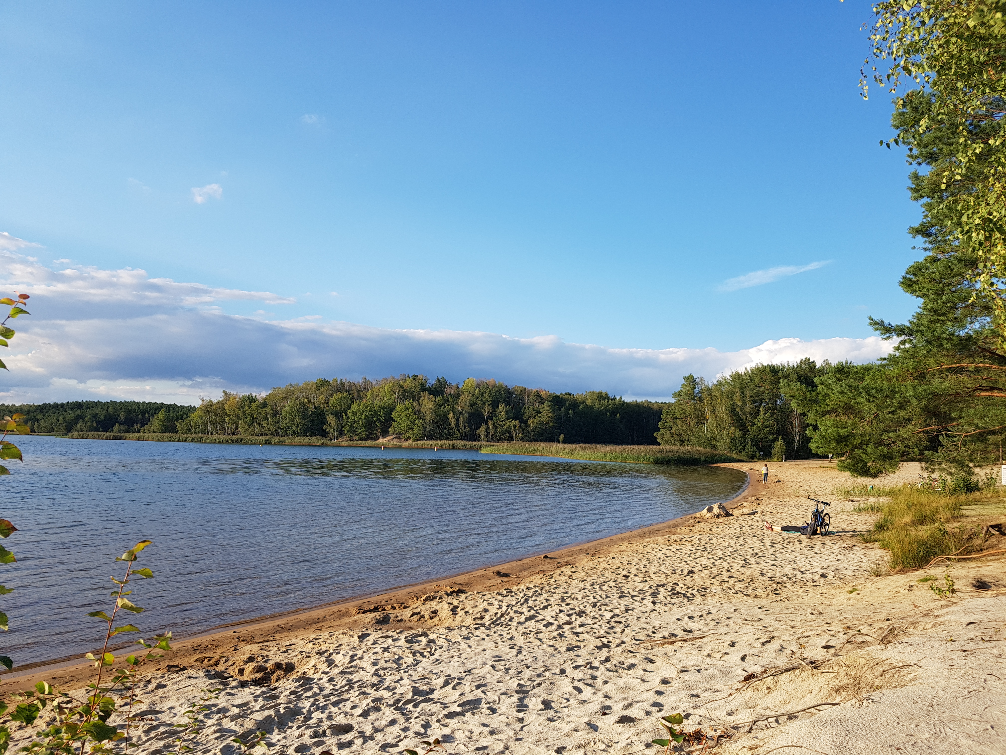 Wohnmobilstellplatz: Naturstrand am Senftenberger See  - Am Johannisthal Wohnmobil Stellplatz Hosena