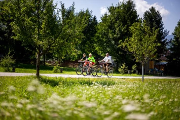 Wohnmobilstellplatz: Ferienbauernhof Bräuhauser