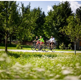 Wohnmobilstellplatz: Ferienbauernhof Bräuhauser