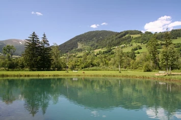 Wohnmobilstellplatz: Ferienbauernhof Bräuhauser