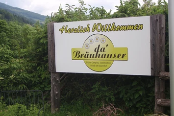 Wohnmobilstellplatz: Ferienbauernhof Bräuhauser