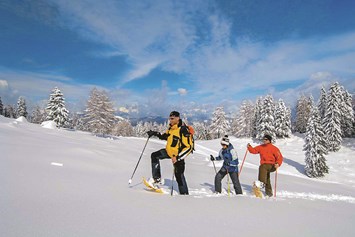 Wohnmobilstellplatz: Schneeschuhwandern - Caravan und Hotel Reisemobilstellplatz Gailberghöhe