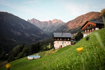 Wohnmobilstellplatz: Gasthof Lahnerhof