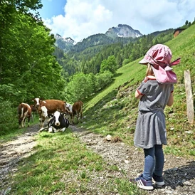 Wohnmobilstellplatz: Abenteuer in den Bergen - Unsere kleine Farm 