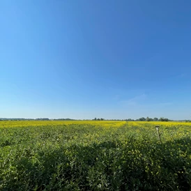 Wohnmobilstellplatz: Aussicht vom Stellplatz - CrohnsHof - Südlage