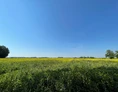 Wohnmobilstellplatz: Aussicht vom Stellplatz - CrohnsHof - Südlage